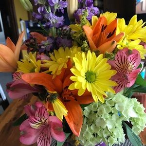 Meet your Posher, Alba